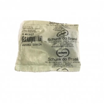 JG C/ 2 Escova Alternador Wapsa/Bosch X403 07