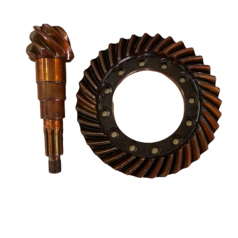 Coroa e Pinhão KL 36501