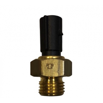 Sensor Temperatura MTE Thomson 3028